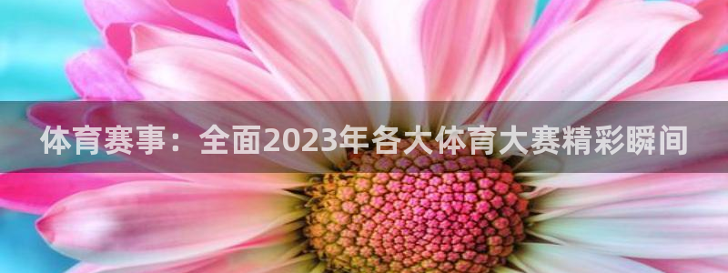 体育赛事：全面2023年各大体育大赛精彩瞬间