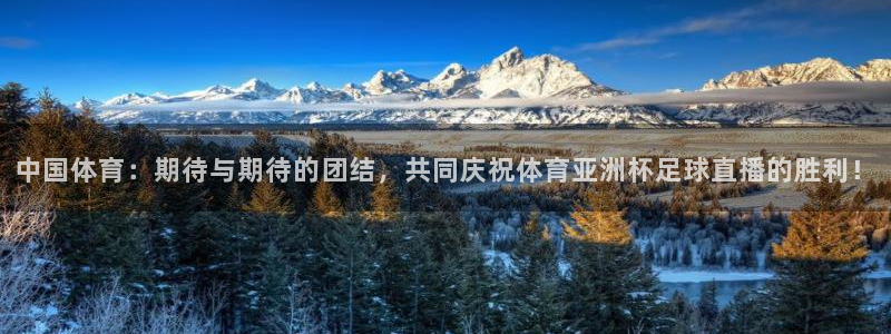 中国体育：期待与期待的团结，共同庆祝体育亚洲杯足球直播的胜利！