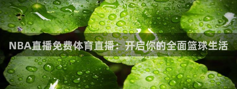 NBA直播免费体育直播：开启你的全面篮球生活