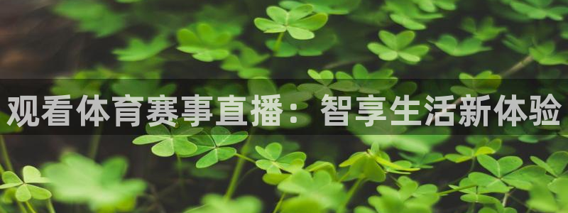 观看体育赛事直播：智享生活新体验
