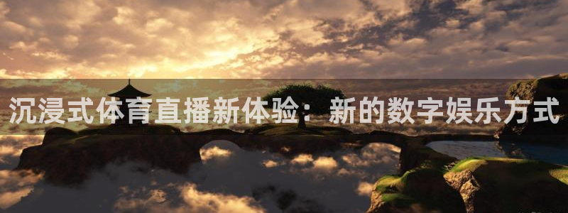 沉浸式体育直播新体验：新的数字娱乐方式