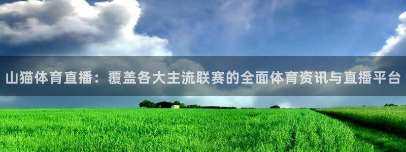 山猫体育直播：覆盖各大主流联赛的全面体育资讯与直播平台