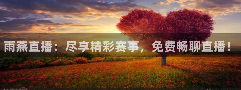 雨燕直播：尽享精彩赛事，免费畅聊直播！