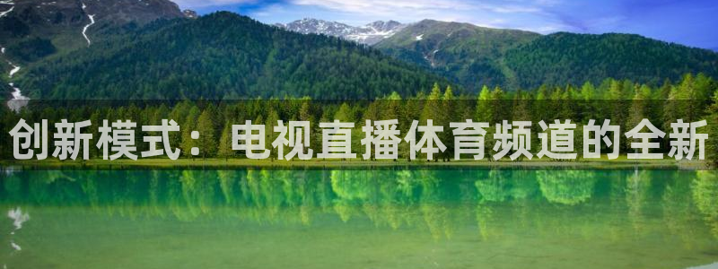 创新模式：电视直播体育频道的全新