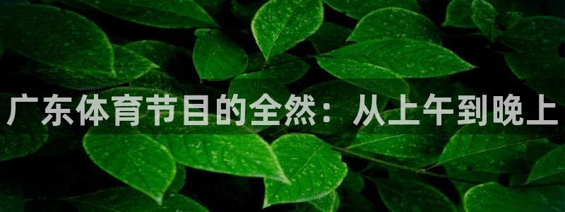 广东体育节目的全然：从上午到晚上