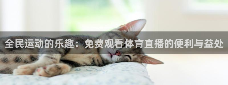 全民运动的乐趣：免费观看体育直播的便利与益处