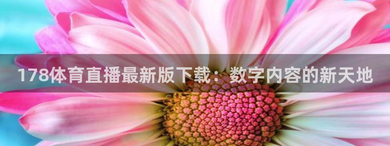 178体育直播最新版下载：数字内容的新天地