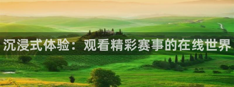 沉浸式体验：观看精彩赛事的在线世界