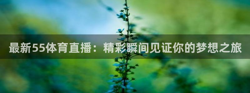 最新55体育直播：精彩瞬间见证你的梦想之旅