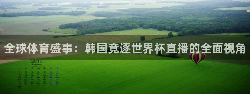 全球体育盛事：韩国竞逐世界杯直播的全面视角