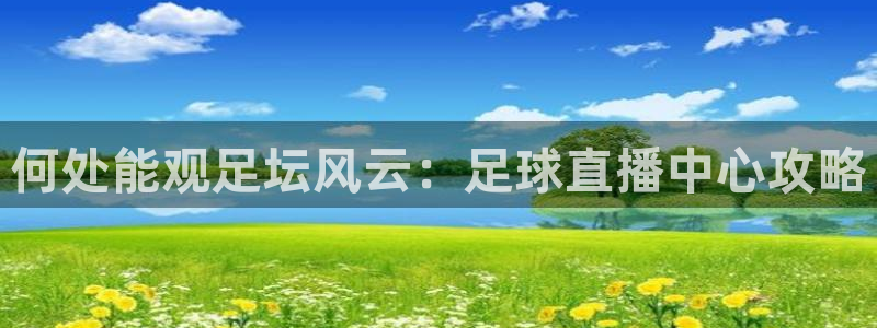 何处能观足坛风云：足球直播中心攻略