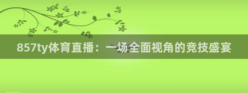 857ty体育直播：一场全面视角的竞技盛宴