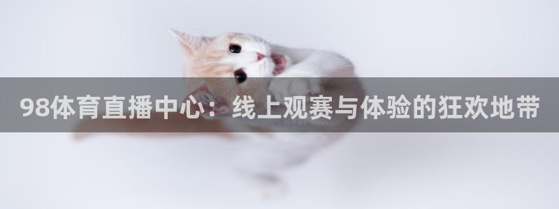 98体育直播中心：线上观赛与体验的狂欢地带