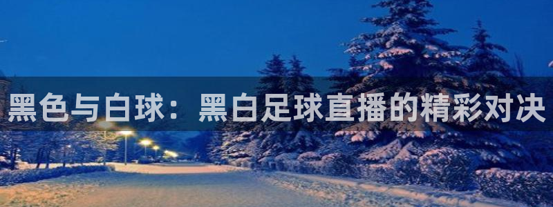黑色与白球：黑白足球直播的精彩对决