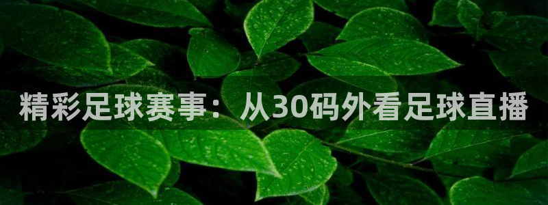 精彩足球赛事：从30码外看足球直播