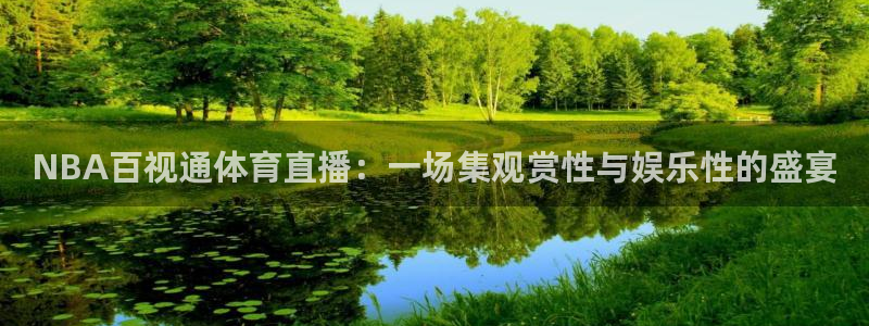 NBA百视通体育直播：一场集观赏性与娱乐性的盛宴