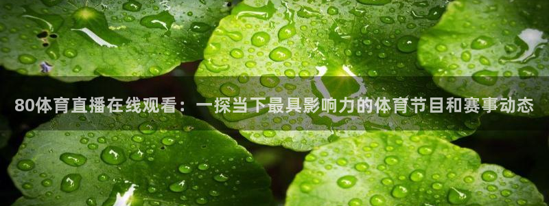 80体育直播在线观看：一探当下最具影响力的体育节目和赛事动态