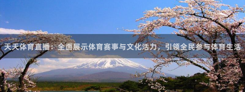 天天体育直播：全面展示体育赛事与文化活力，引领全民参与体育生活