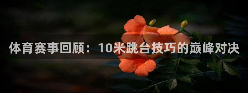 体育赛事回顾：10米跳台技巧的巅峰对决
