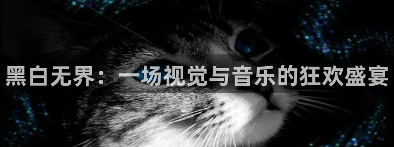 黑白无界：一场视觉与音乐的狂欢盛宴