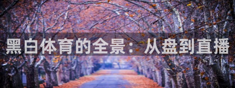 黑白体育的全景：从盘到直播