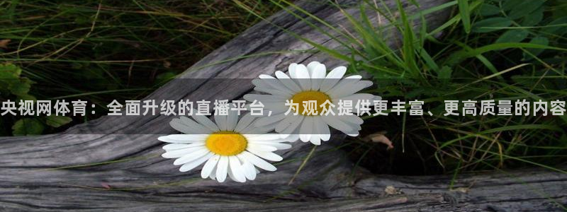 央视网体育：全面升级的直播平台，为观众提供更丰富、更高质量的内容
