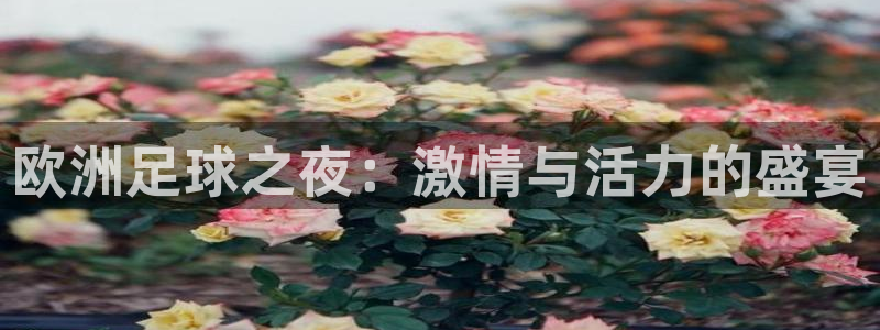 欧洲足球之夜：激情与活力的盛宴