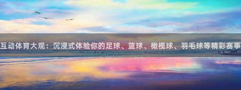 互动体育大观：沉浸式体验你的足球、篮球、橄榄球、羽毛球等精彩赛事