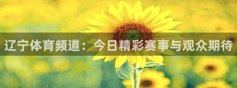 辽宁体育频道：今日精彩赛事与观众期待
