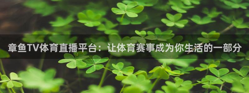章鱼TV体育直播平台：让体育赛事成为你生活的一部分
