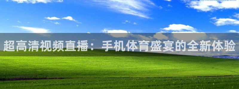 超高清视频直播：手机体育盛宴的全新体验